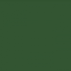 Your Color YC 97
