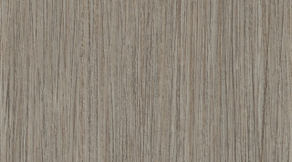 Taralay Impression Compact - Wood 0719 Infinity Lichen
