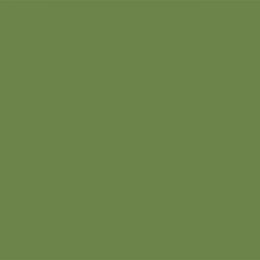 Your Color YC 95