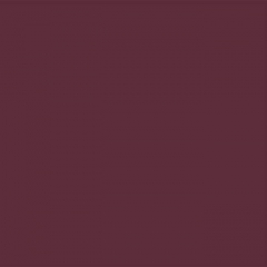Your Color YC 79
