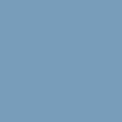 Your Color YC 33