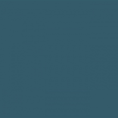 Your Color YC 88