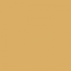 Your Color YC 16