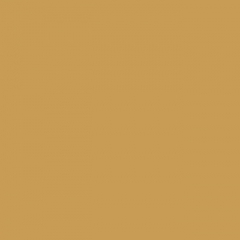 Your Color YC 17