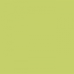 Your Color YC 92