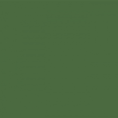 Your Color YC 96