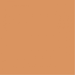 Your Color YC 23