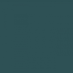 Your Color YC 89