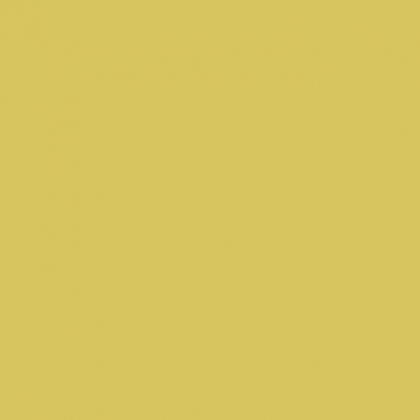Your Color