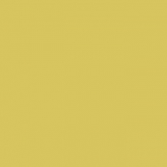Your Color YC 14
