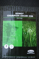 Champion Ascari 32M Domo Champion Ascari 32M