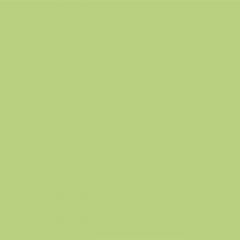 Your Color YC 93