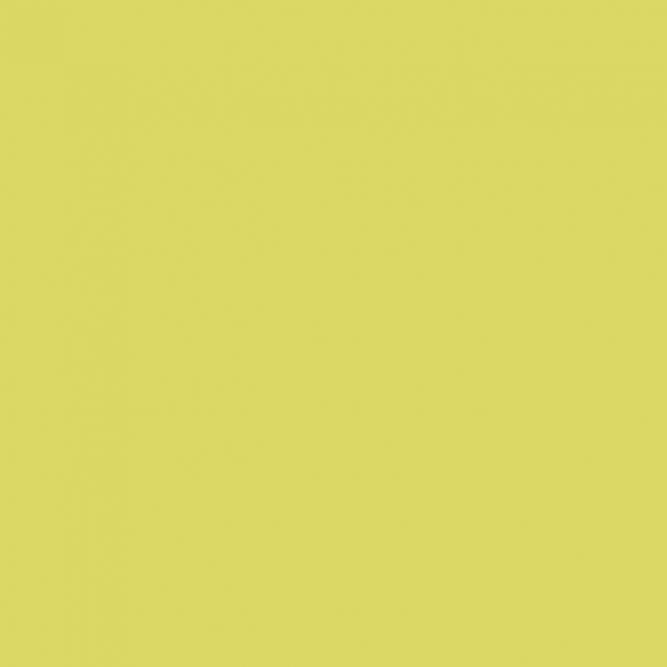 Your Color