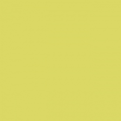 Your Color YC 13